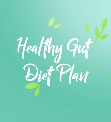 Healthy Gut Diet Plan